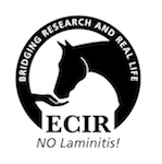 ECIR Group Inc.